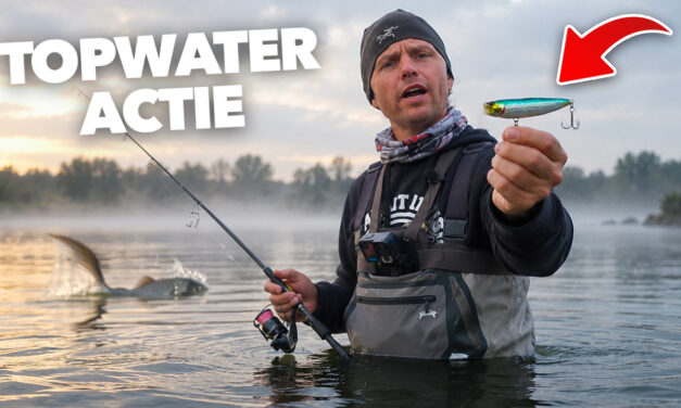 ***VIDEO*** Roofblei en baars op topwaters – Zo doe je dat!