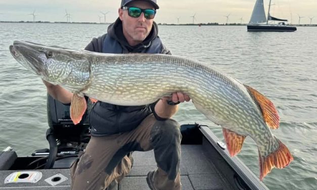 Roofmeister INSIDE: 50’er baars op topwater, mega najaarssnoeken & van recordjacht naar rust in je hoofd!