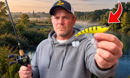 ***VIDEO*** WIJ VANGEN BIZAR VEEL SNOEK OP DIT KUNSTAAS!><span class=